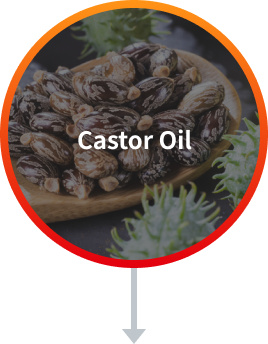 피마자유 Castor Oil
