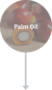팜유 Palm Oil