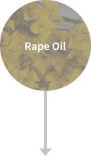 카놀라유 Rape Oil