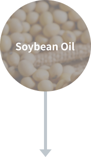 대두유 Soybean Oil