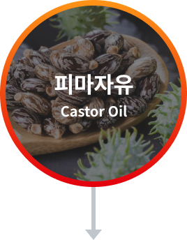 피마자유 Castor Oil