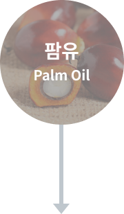팜유 Palm Oil