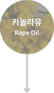 카놀라유 Rape Oil